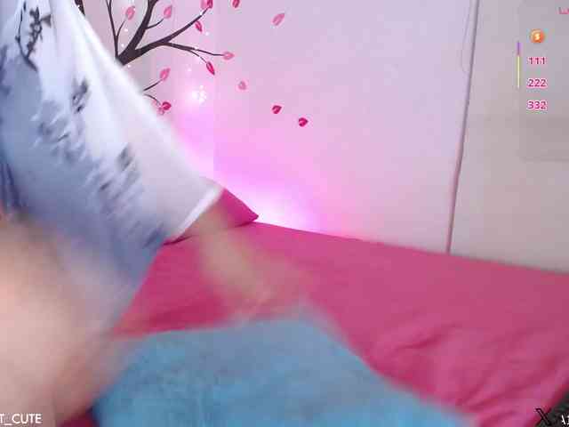 KAROLKAT webcam