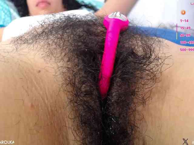 KAROLKAT webcam