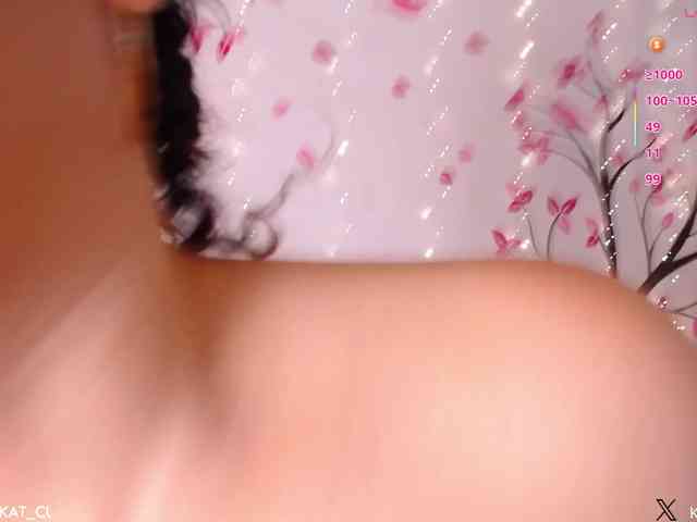 KAROLKAT webcam