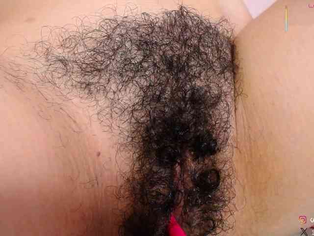 KAROLKAT webcam