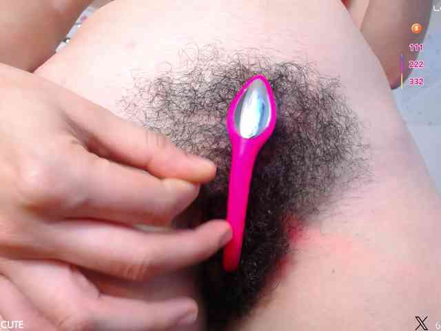 KAROLKAT webcam