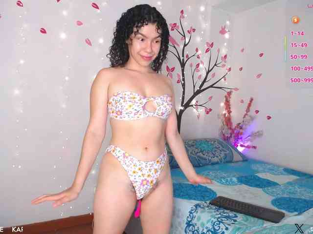 KAROLKAT webcam