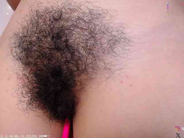 KAROLKAT webcam