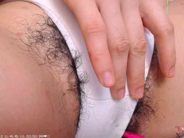 KAROLKAT webcam