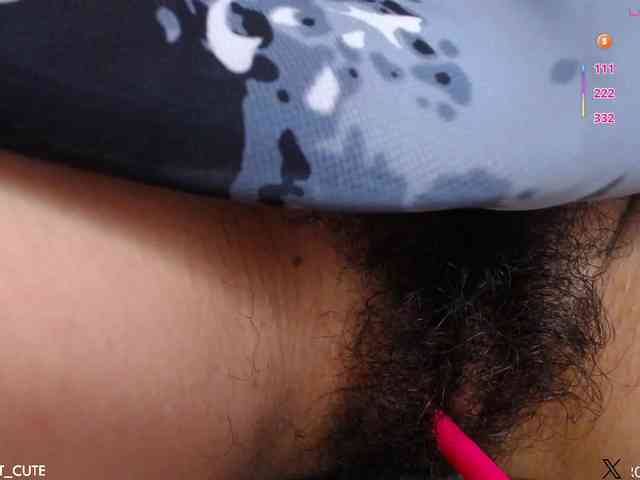 KAROLKAT webcam