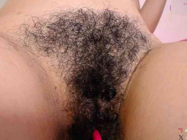 KAROLKAT webcam