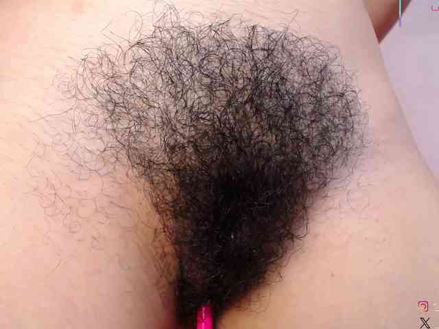 KAROLKAT webcam