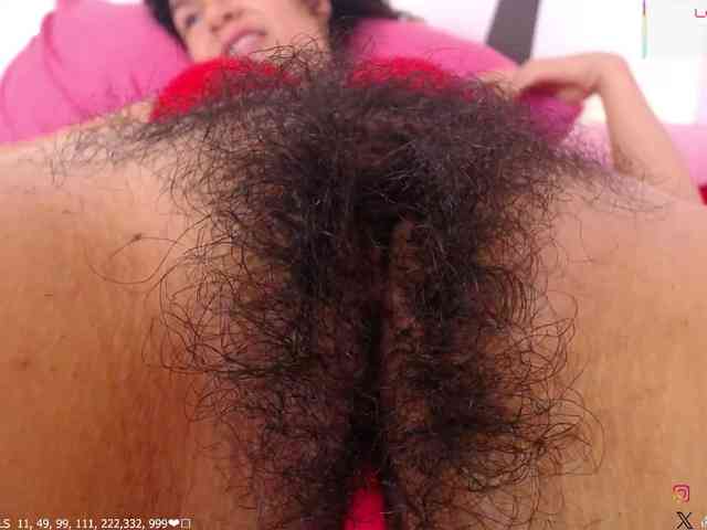 KAROLKAT webcam
