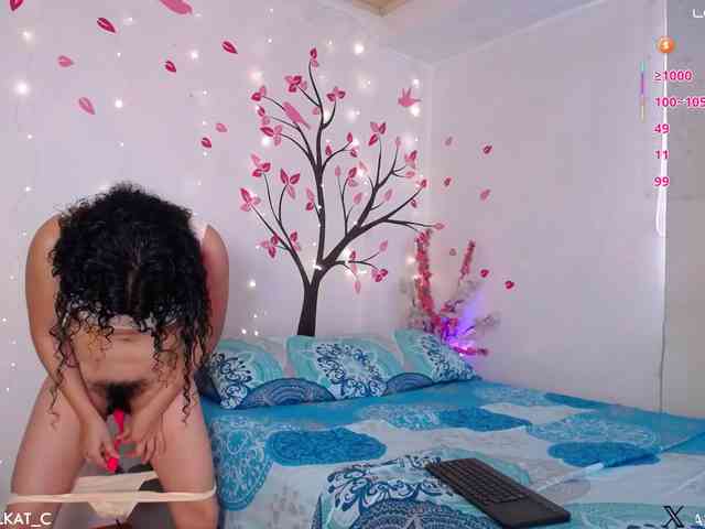 KAROLKAT webcam