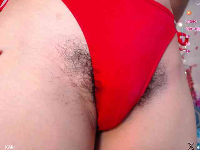 KAROLKAT webcam
