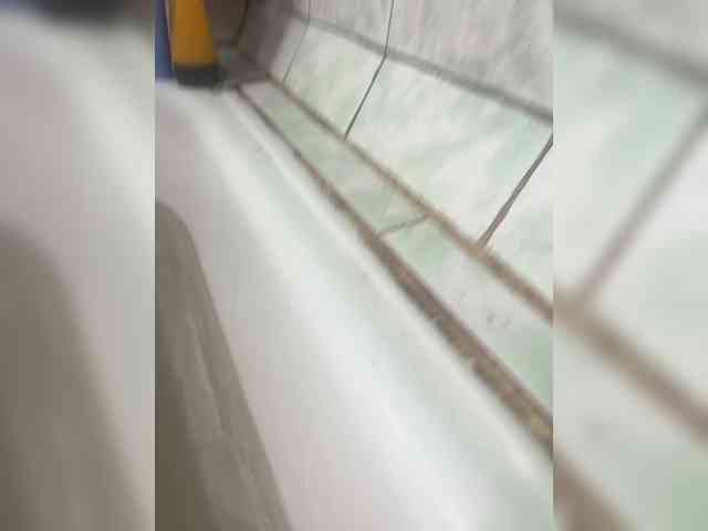 Lienda webcam