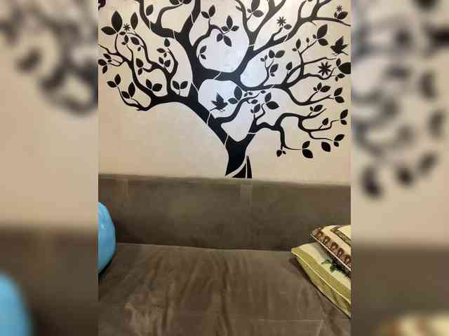 Lienda webcam