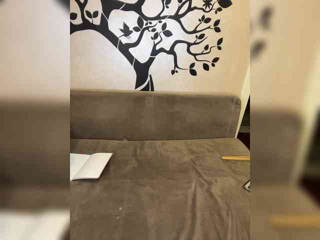 Lienda webcam