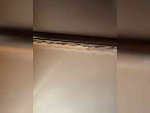 Kirrraaa webcam
