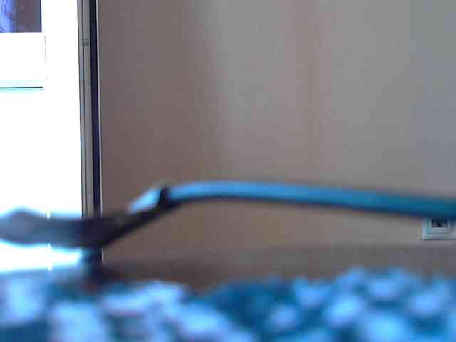 Leon211272 Sex Cam Show