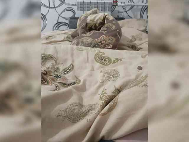 DDDenisson Sex Cam Show