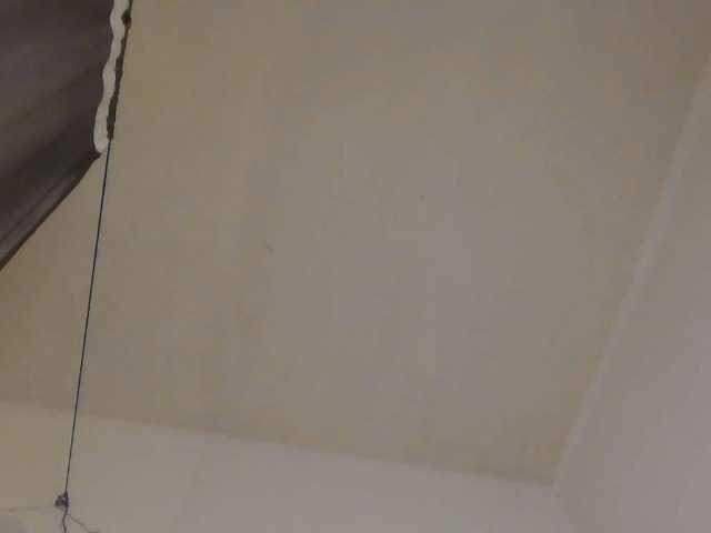 Strip-me-naked live cam on BongaCams