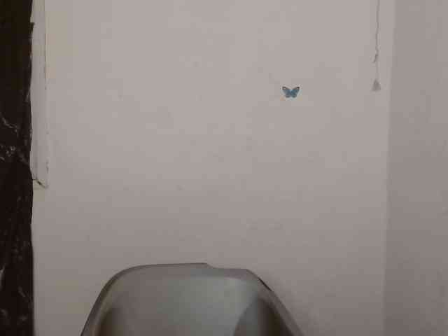 Strip-me-naked webcam