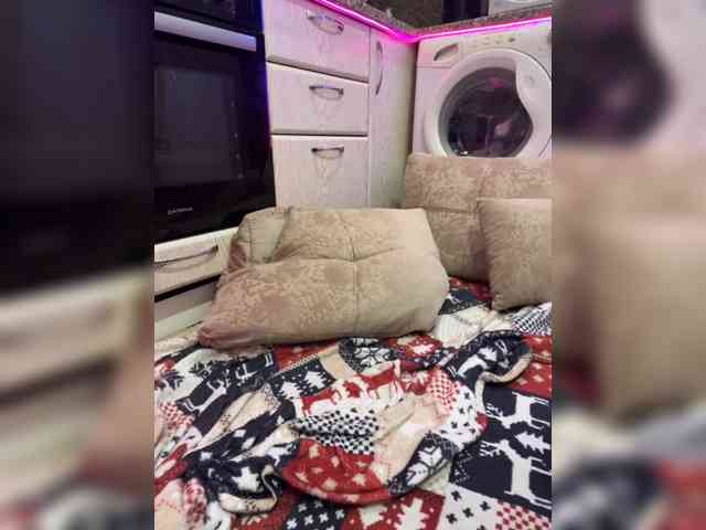 Barsi_eto_zaebis webcam
