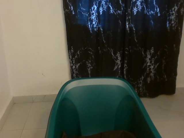 Nasty-lilly live cam on BongaCams