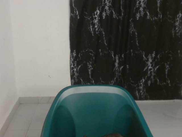 Nasty-lilly live cam on BongaCams
