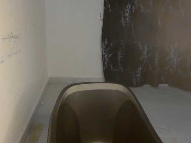 Nasty-lilly live cam on BongaCams