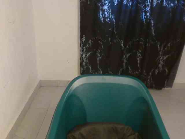 Nasty-lilly webcam