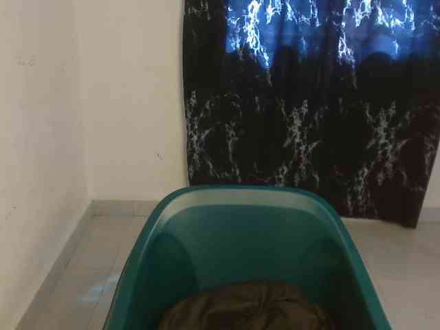 Nasty-lilly webcam