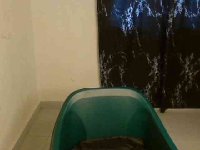 Nasty-lilly webcam