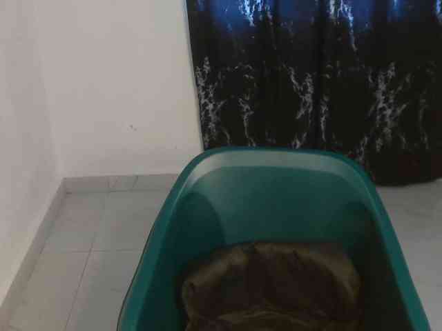 Nasty-lilly webcam