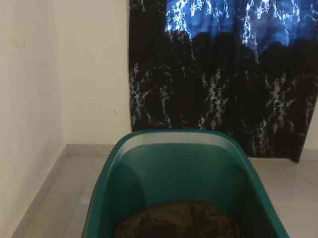Nasty-lilly webcam
