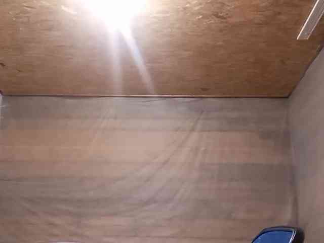 BeaHounchell webcam
