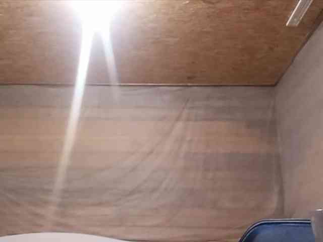 BeaHounchell webcam