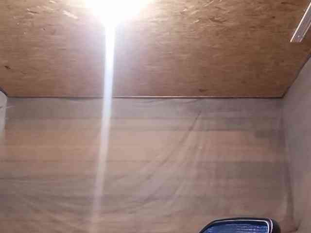 BeaHounchell webcam