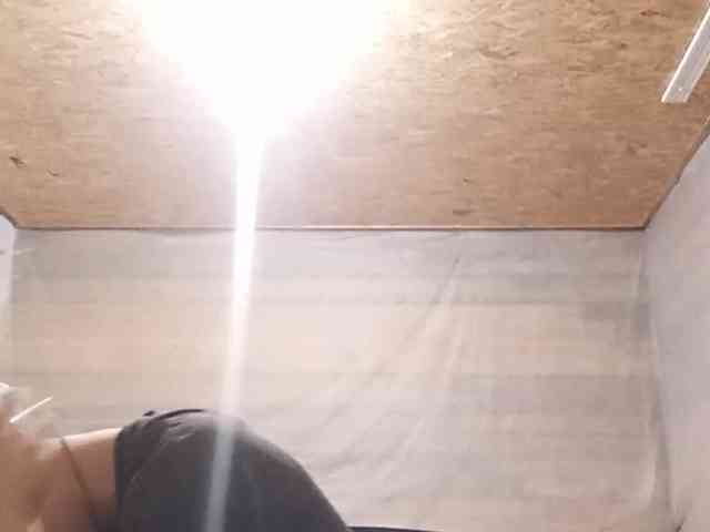 BeaHounchell webcam