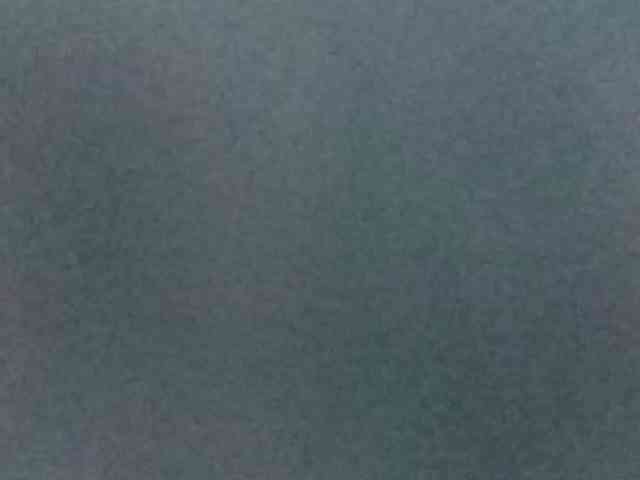 BeaHounchell webcam