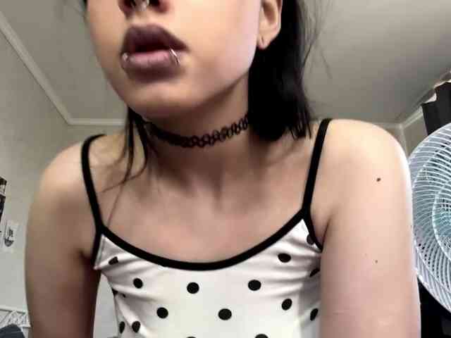 ArlaReily webcam