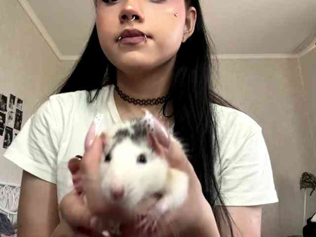 ArlaReily webcam