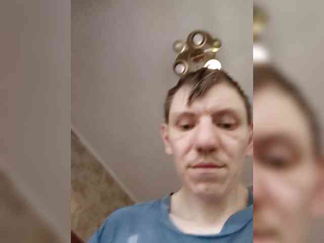 Denleovik