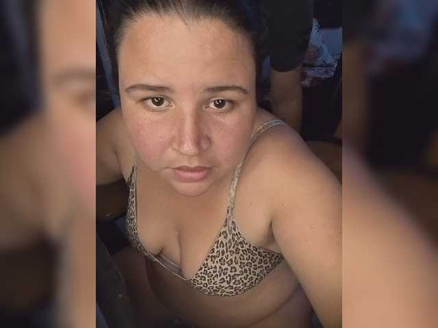 Gaviotaa