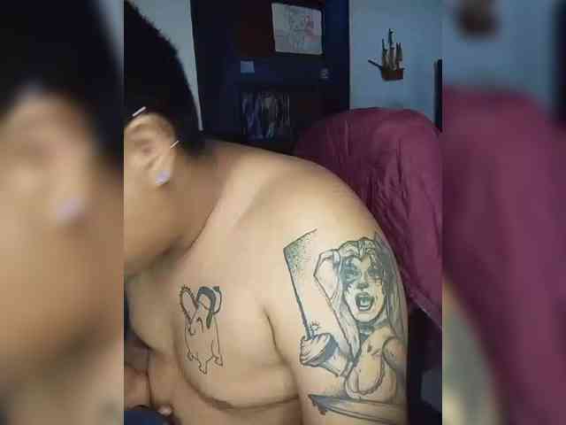 Gaviotaa webcam