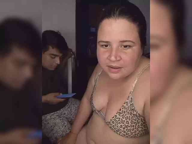 Gaviotaa webcam