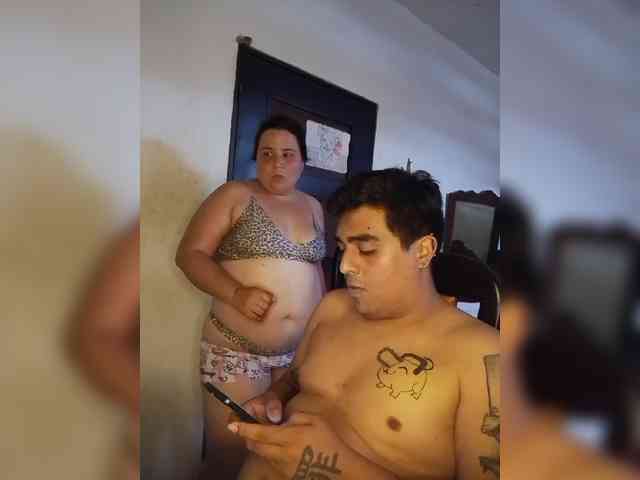 Gaviotaa webcam