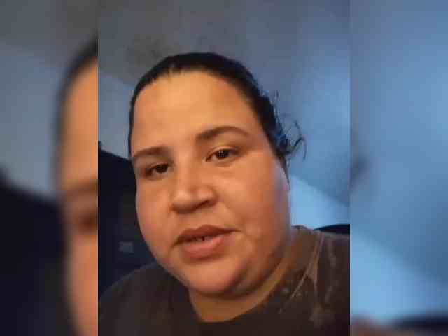 Gaviotaa webcam