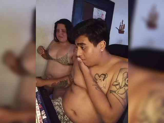 Gaviotaa webcam