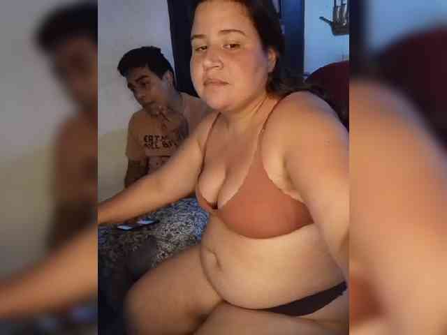 Gaviotaa
