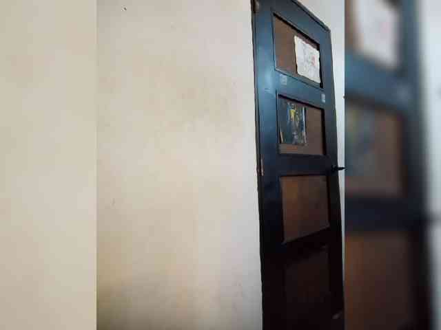 Gaviotaa webcam