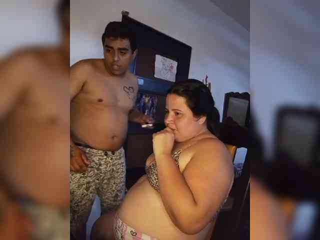 Gaviotaa webcam