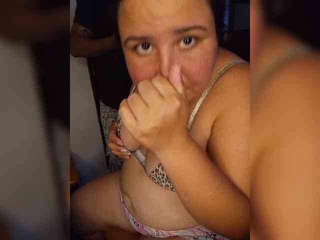 Gaviotaa webcam
