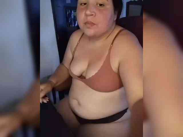 Gaviotaa webcam